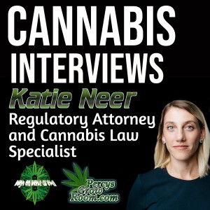 Katie Neer, Regulatory Attorney and Cannabis Law Specialist