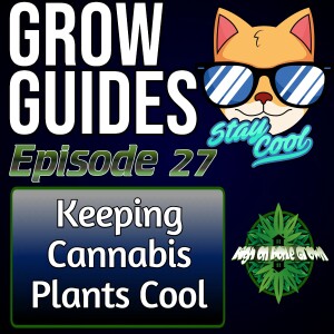 Keeping Cannabis Plants Cool | Cannabis Grow Guides Episode 27