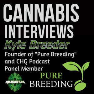 Making Your Own Cannabis Seeds, Breeding Cannabis With Kyle Breeder, Predicative Breeding
