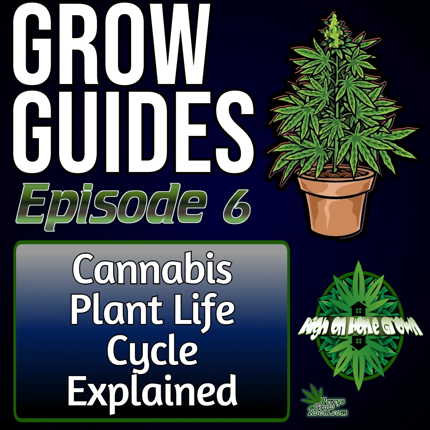 The Life Cycle of Cannabis Plants, A Step by Step Guide on How Cannabis Plants Grow | Grow Guides Episode 6