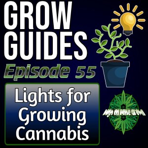 Grow Lights for Growing Cannabis | Cannabis Grow Guides Episode 55