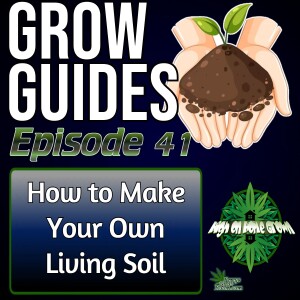 How to Make Your Own Living Soil for Cannabis Plants | Cannabis Grow Guides Episode 41