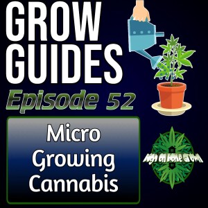 Micro Growing Cannabis Plants | Cannabis Grow Guides Episode 52
