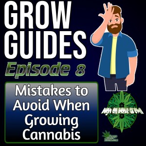 Mistakes to Avoid When Growing Cannabis | Grow Guides Episode 8