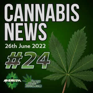 Broken Promises from USA Government, Light Pollution from Cannabis Greenhouses, A Set Back for Australian Cannabis Law, *Special Guests, The High Ladies*