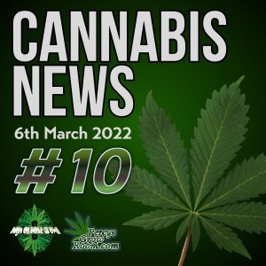 Police Conducting Unlawful Searches on Cannabis Users, How are Police Roadblocks Legal, Billionaires Taking Over Cannabis Market, Cannabis News