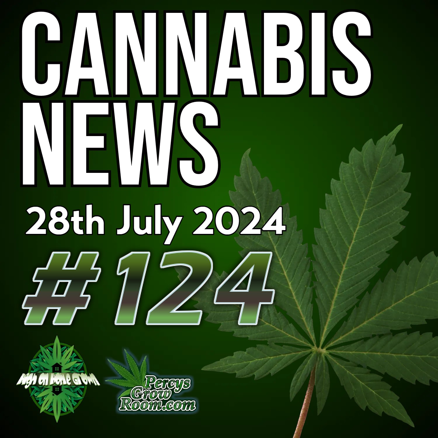 Snoop Dogg in the Olympics | Will Kamala Legalize Cannabis | Cocaine Sharks and Other Intoxicated Animals | Cannabis News Episode 124