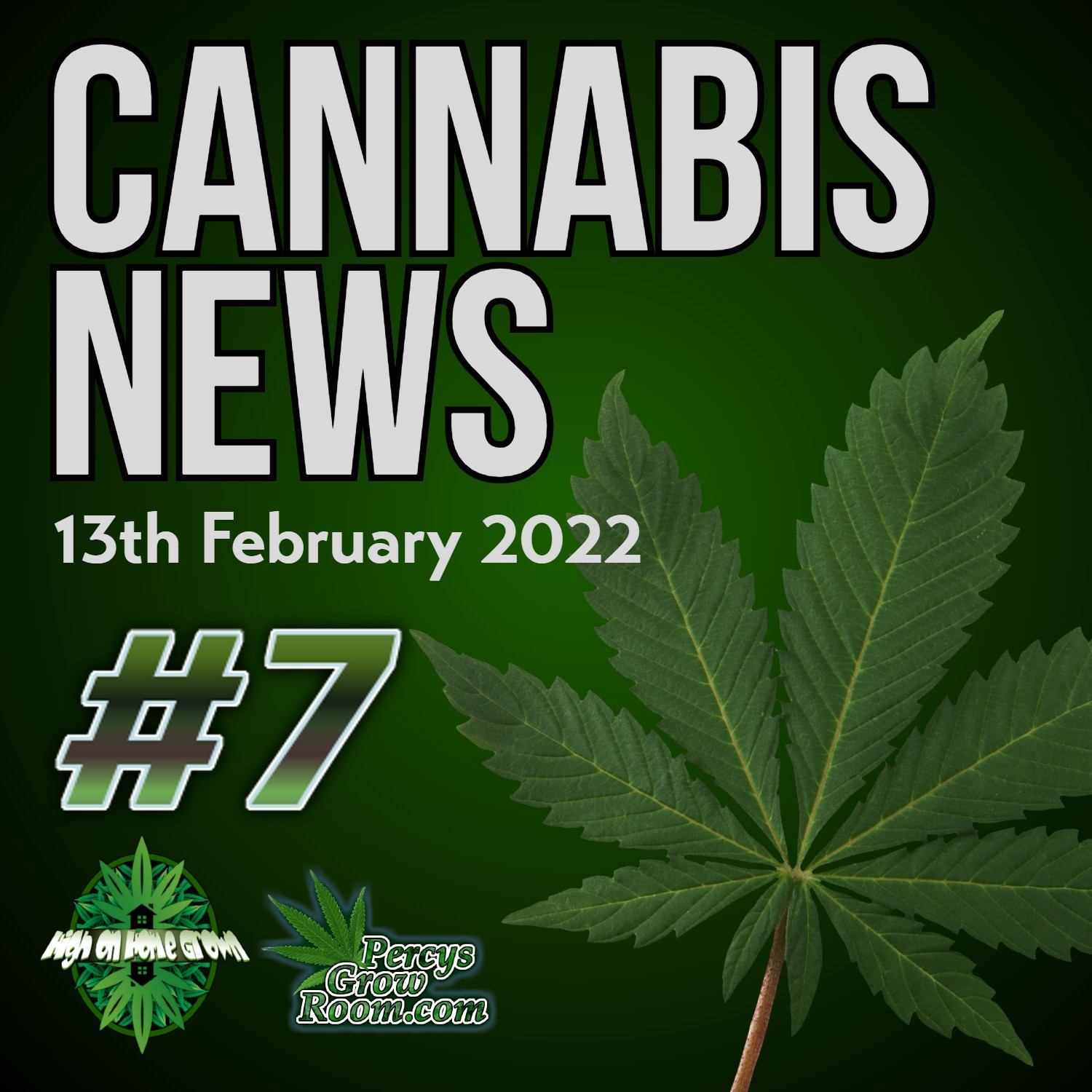 Cannabis to be Legalised in Thailand! Medical Users in the UK Still Turning to Legacy Market for Medicine, More Women Becoming Cannabis Consumers than Ever! Cannabis News