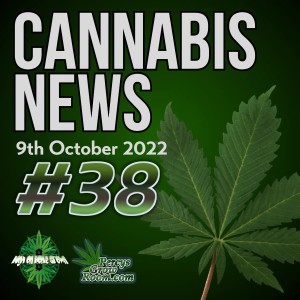 Big News From the USA, but is it Just a Card to Play for Votes in Midterms? Costa Rica to Legalise Recreational Use, Amazon Bans Grinder Sales, but Why? Cannabis News #38