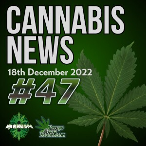 Is Cannabis Simply a Placebo? Delta 8 THC to be Banned in Canada, 2 Cannabis Friendly Mp’s Elected in Australia, Cannabis News Episode 47