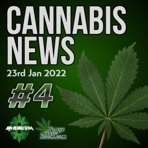 What is THC-O and Why is it Legal? How Can We Stop Children Getting Cannabis Edibles, People Trafficking in the UK, and Cannabis and Sex, Does it Make it Better?