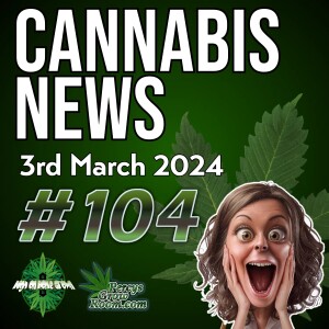 Cannabis Caused Man to Murder 4 people? | Smoking Cannabis Increases Risk of Stroke by 42% ( allegedly)  | Dumpster Weed | UK Can be Fixed by Legalising Cannabis | Cannabis News104