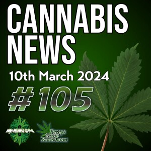 Is CBD Just a Fad? | Driving Ban for Smelling like Cannabis | Ontario Bans Home Grow! | What Not to Do If You Get Pulled Over | DeSantis Hates the Smell of Cannabis | Cannabis News 105