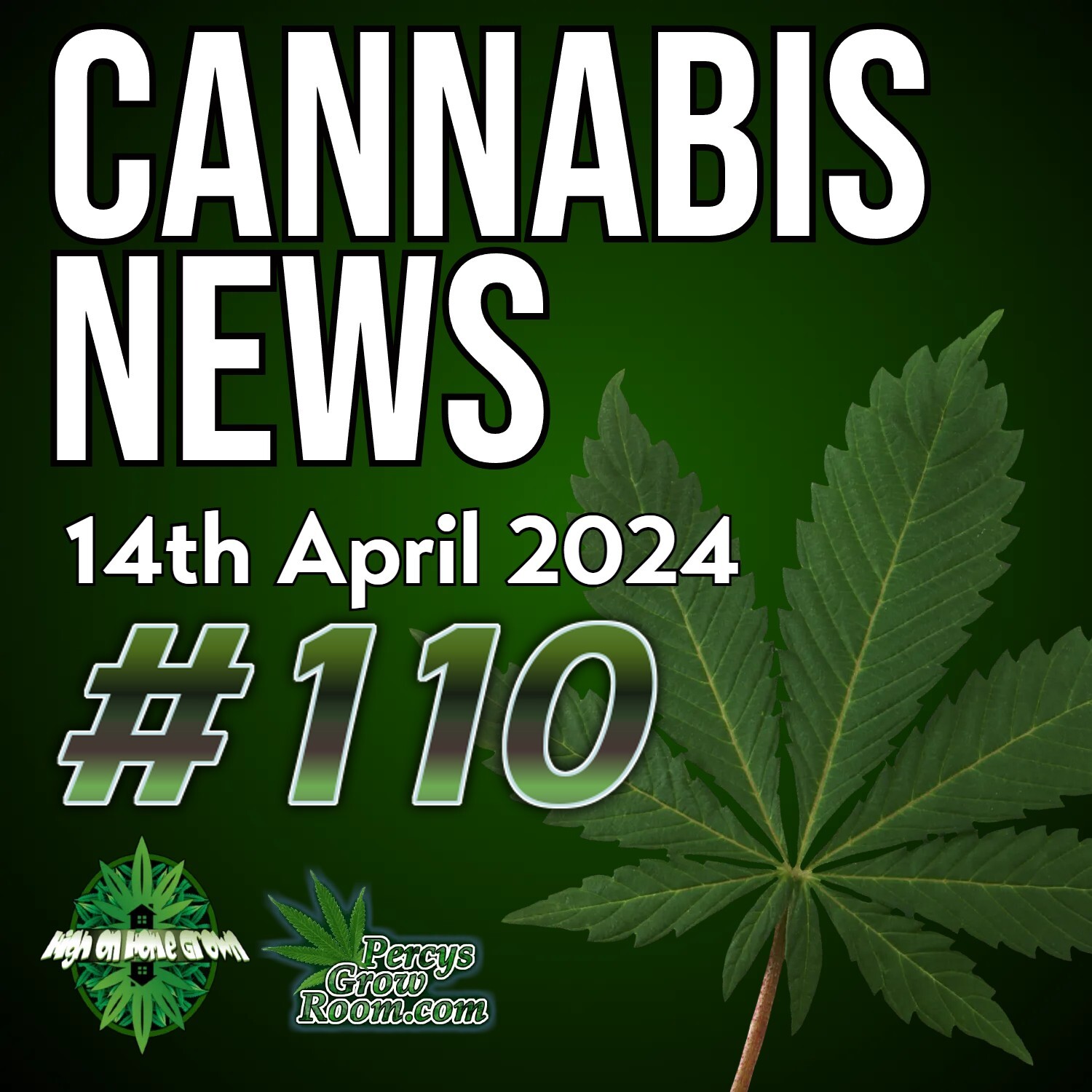 "Zombie" drug found in THC vapes | Gang Arrested in $600m Scam | Why Cannabis Wont be Legalised in Aus | "Come Dine With Me" Winners in Cannabis Gang! | Cannabis News Podcast, Episode 110