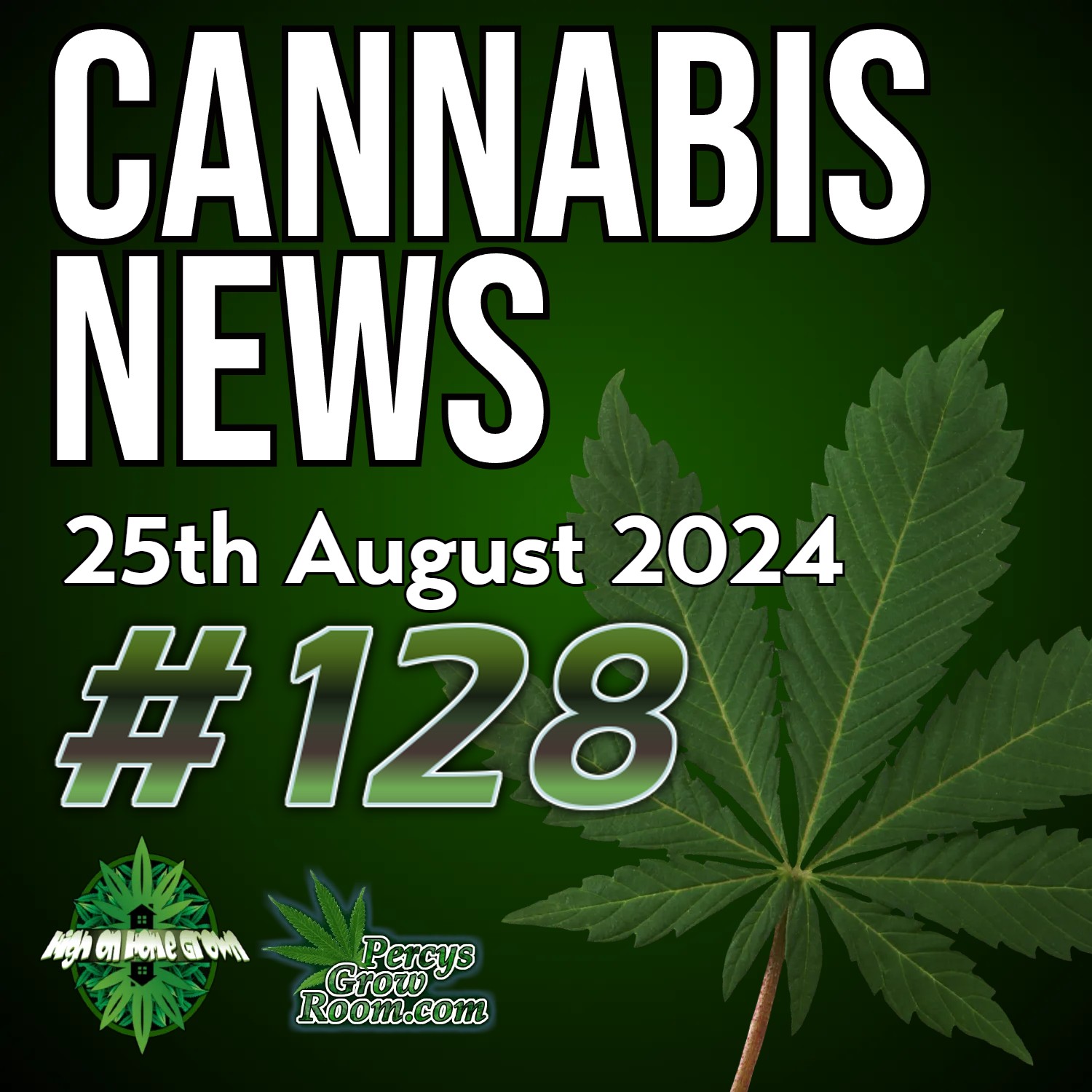 Are Cannabis Consumers More Likely to Vote For Trump, or Harris? | Legalising Cannabis Reduces Teen Use | Moroccan King Pardons 4800 Cannabis Growers! | Dodgy QR Codes in London | Cannabis News 128