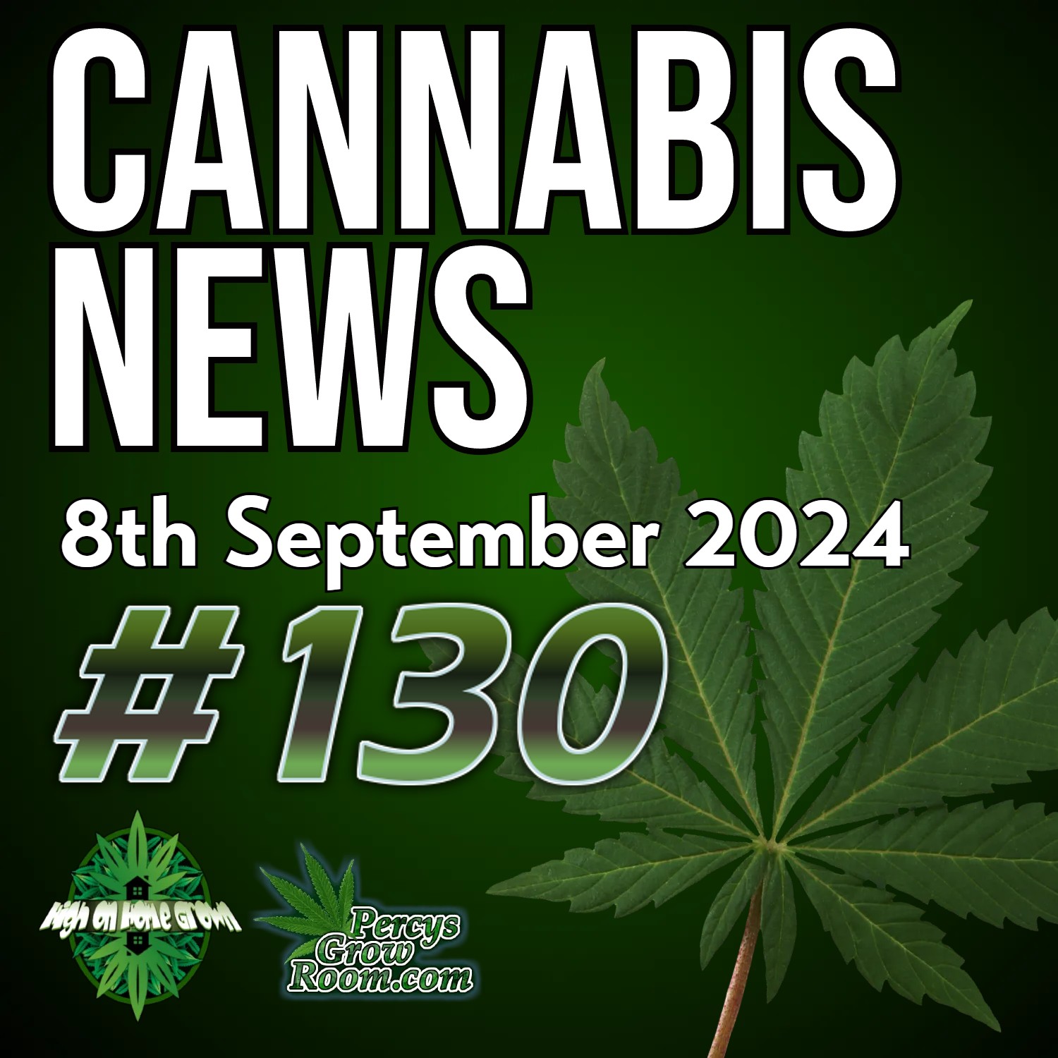 Product Earth Shut Down By Police? | UK "Black Market" is Huge! | Anaesthesia and Cannabis | Cannabis Industry Awards Taking Nominations | Cannabis News