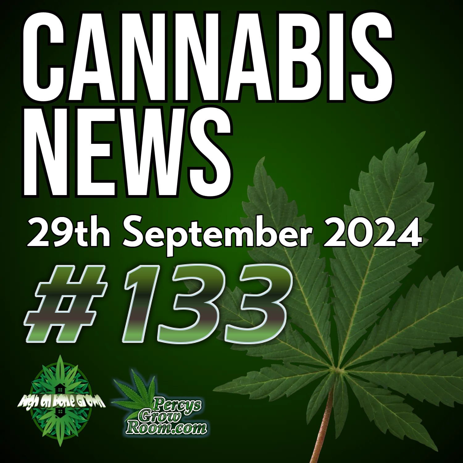 5 Things to Know from This Week’s Big Report on Cannabis | Albanian Migrants Taking Over UK Cannabis Industry | Cannabis Use in Pregnancy Alters Genes in the Developing Brain | Cannabis News 133