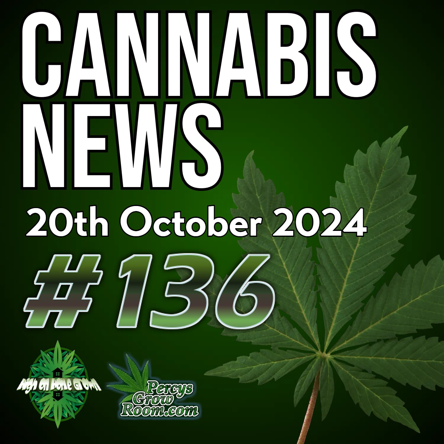 Kamala Harris Promises Full Cannabis Legalisation | How Much a Does a Legal Grower Actually Make? | Cannabis Psychosis and DNA Study | Canada Celebrates 6 Years of Legal Cannabis! | Cannabis News 136