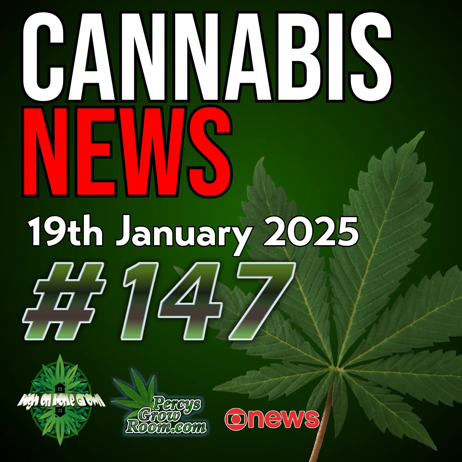 Parents Break the Law to Save Sick Child! | The TikTok Ban | Update on Cannabis and Psychosis Study | UK Company Sues Government Over Wrongful Seizure of Products! | Cannabis News 147