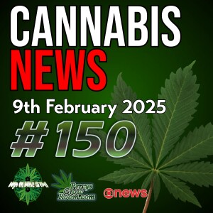 Secret £10M Legal Grow in UK | Washington Lab Raid with Explosive Risk! | Study Finds Medical Weed Beats Prescription Drugs | Cannabis Use Disorder Increase Chance of Death? | Cannabis News 150