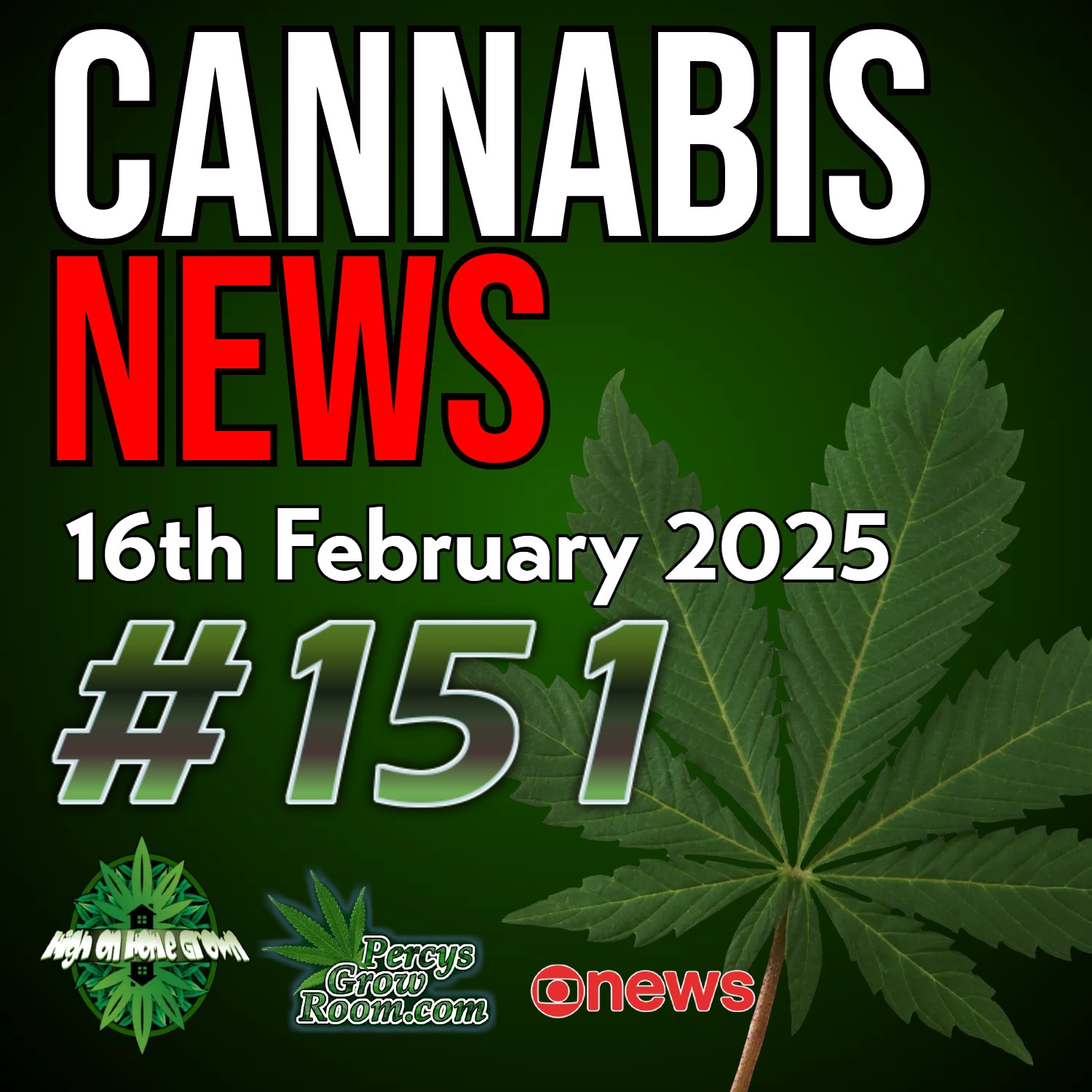 US Citizen Arrested in Russia for Possession of Gummies | Switzerland Considers Legalisation | RFK Jr. Weighs In on Weed, Does He Support Legalisation? | Cannabis and Dental Health | Cannabis News 151
