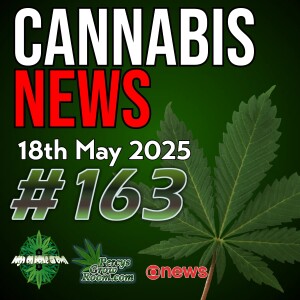 Shatter Cannabis 'Triple Threat' | QR Code Drug Trade in UK | Cannabis Tax Funds UBI for Families in New Mexico | Stupid Case Where Basketball Player Faces Firing Squad! | Cannabis News Episode 163