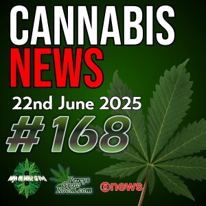 Father Accused of Killing Baby Whilst High on Cannabis | Texas Legalizes Medical Cannabis | UK Chemical Reclassification | Lawsuit Targets Cannabis Company | Cannabis News Episode 168