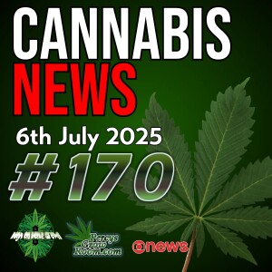 Kings of CBD Plan Psychedelic Meds | Only 1 in 4 Found With Cannabis are Charged in UK | 1M Plants Ready to Harvest | LEEF to Harvest 1 Million Cannabis Plants! Cannabis News Episode 170