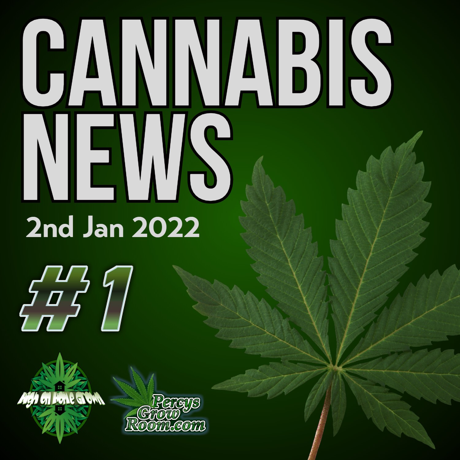 Can Astronauts Grow Weed? How is the UK is Losing 1.2 Billion a Year? Why a Mississippi Governor will Veto Cannabis Bill! Cannabis News Jan 2nd 2022