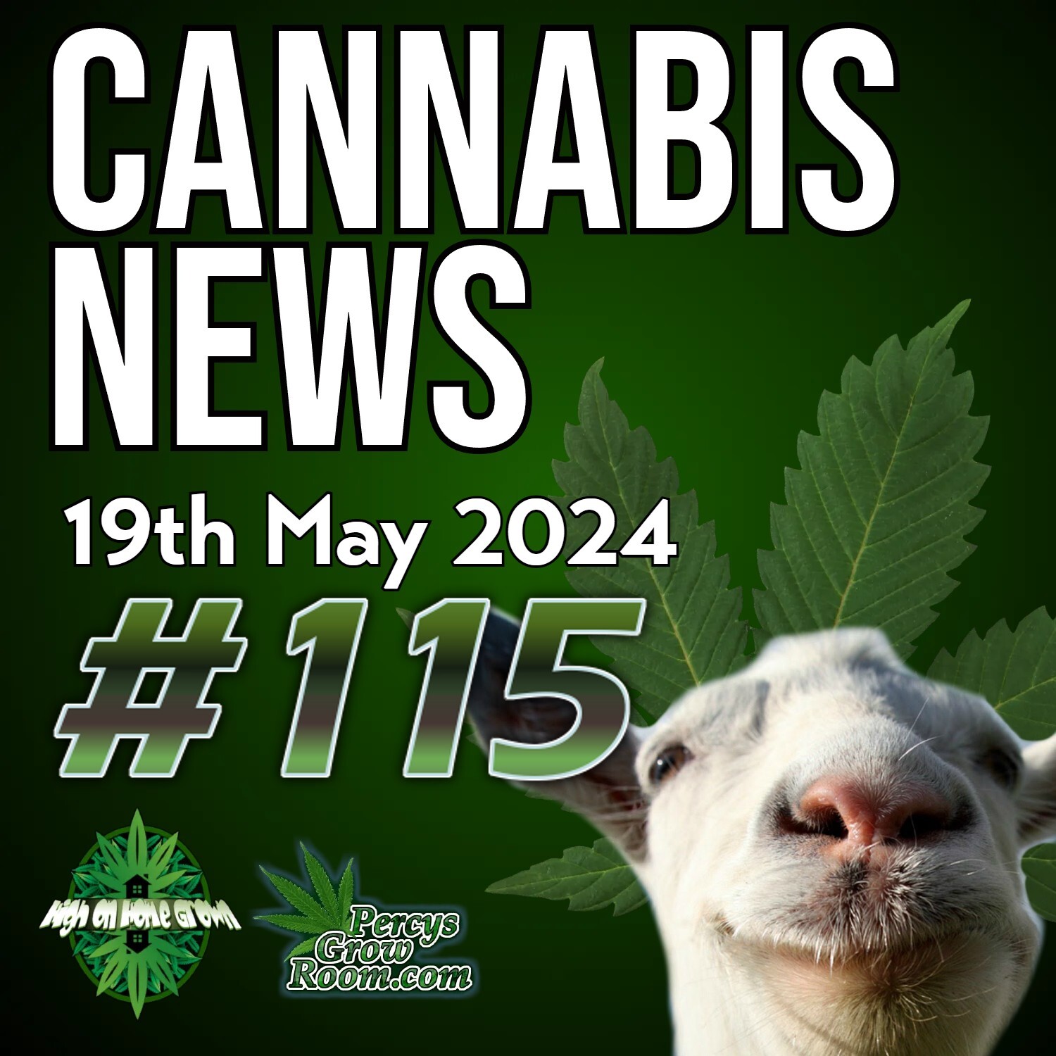 UK Urges People to Call Police on Cannabis Users, Whilst Medical Use Surges! | New York to Shut Down 75 "Illegal" Cannabis Shops | Minnesota Growers Can Sell Their Home grow? | Cannabis News 115