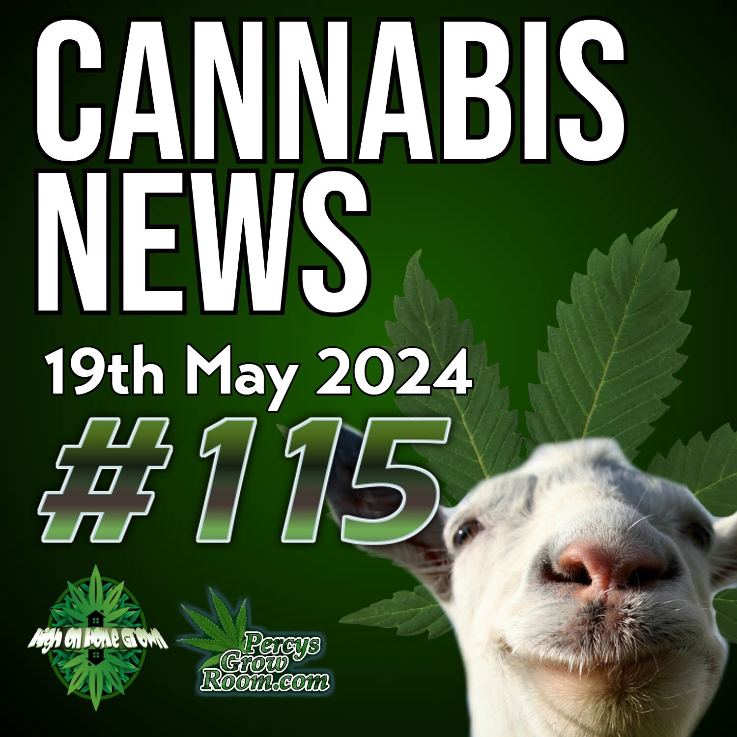 UK Urges People to Call Police on Cannabis Users, Whilst Medical Use Surges! | New York to Shut Down 75  "Illegal" Cannabis Shops | Minnesota Growers Can Sell Their Home grow? | Cannabis News 115