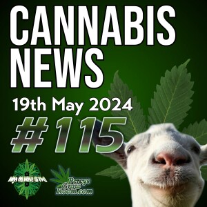 UK Urges People to Call Police on Cannabis Users, Whilst Medical Use Surges! | New York to Shut Down 75  "Illegal" Cannabis Shops | Minnesota Growers Can Sell Their Home grow? | Cannabis News 115