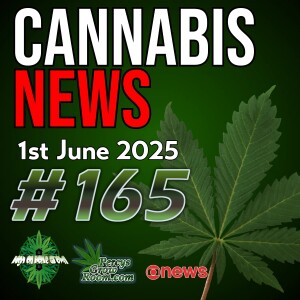 UK to Decimalise Cannabis? Or Put it on the Same Level As Crack? WTF is Going on?! | Haribo Recalls Products After Potential Contamination | Cannabis and Gun Ownership | Cannabis News 165