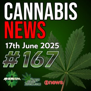Cannabis Edibles Could Be Banned in US | The Pros and Cons of Using Cannabis | Guernsey Medicinal Cannabis Misuse? | 24 Million Europeans Use Cannabis | Cannabis News Episode 167