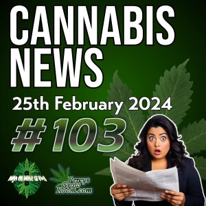 Info About Cannabis & Anaesthetics | Update On Germany | Huge Busts in the UK | Cocaine Used more than Cannabis in Hong Kong?! | More Calls from Veterans for Legal Cannabis in USA | Cannabis News 103
