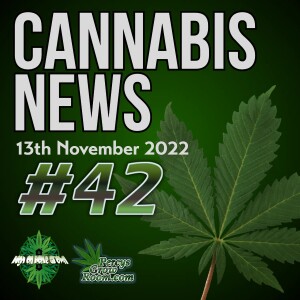 99 Year Old Grandmother Raided in the UK, US Midterms Didn’t Go As Expected for Cannabis, Woman Charged For Selling Her Prescription Cannabis, Cannabis News 42