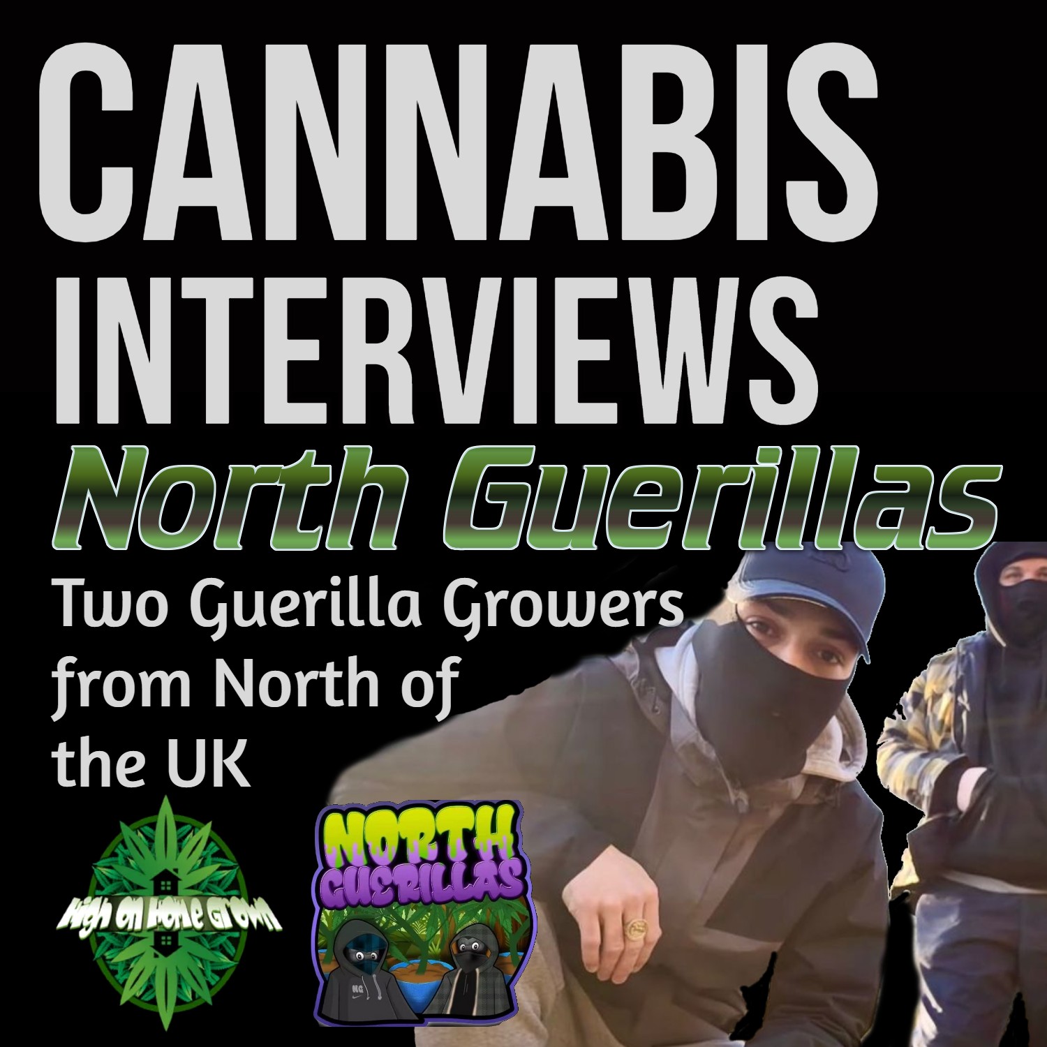 How to Do the Best Guerrilla Grow! With North Guerillas, 2 Guerilla Growers from the North of the UK.