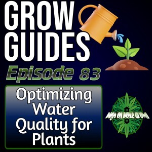 Optimizing Water Quality for Your Cannabis Plants | Cannabis Grow Guides Episode 83