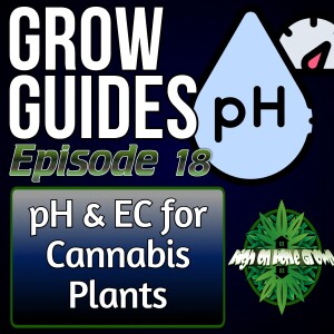 pH and EC for Cannabis Plants | Cannabis Grow Guides Episode 18