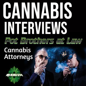 The Pot Brother at Law! (The STFU Guys) What to Do if You're Pulled Over by Police