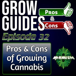 Pros and Cons of Growing Cannabis | Cannabis Grow Guides Episode 32