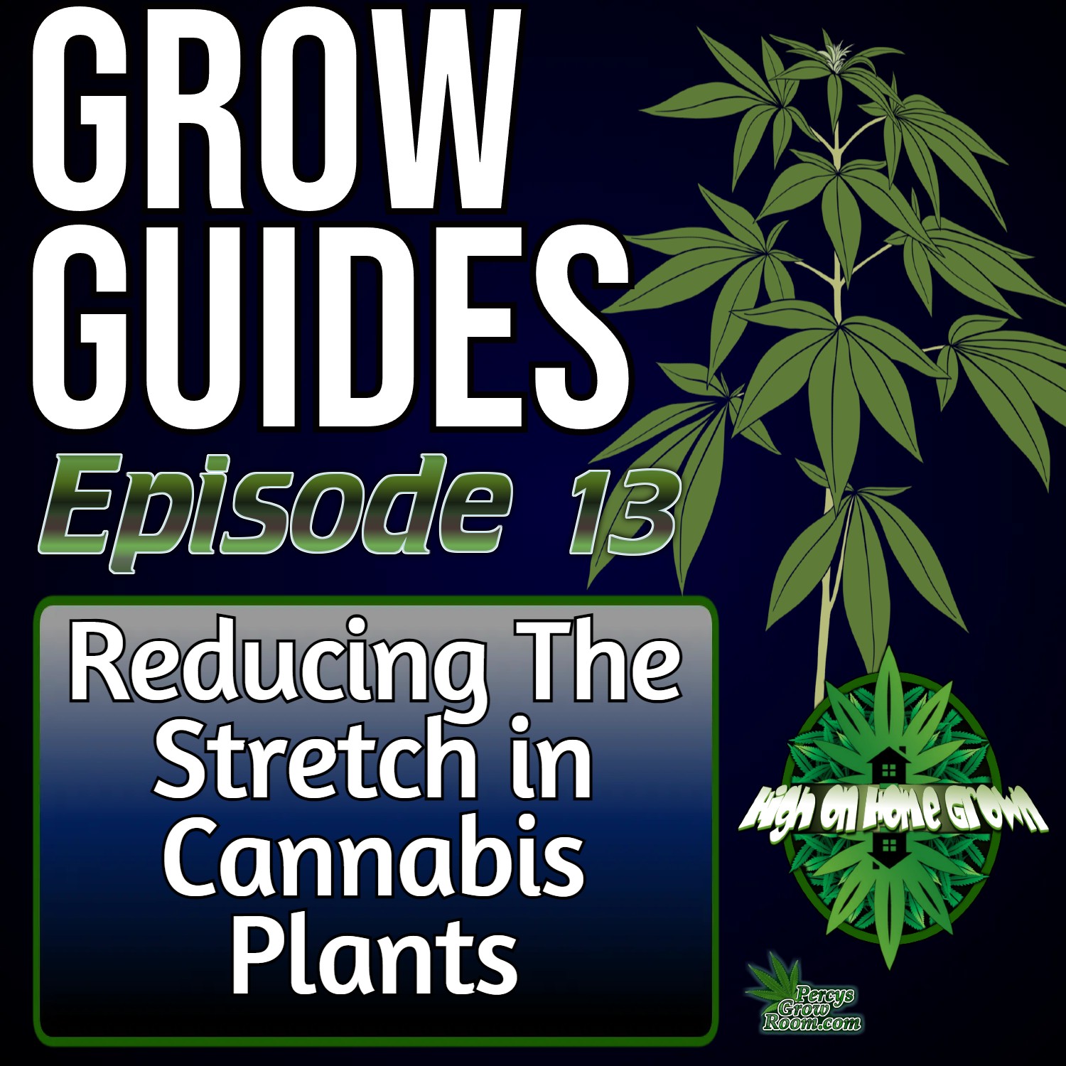 Reducing Stretch in Cannabis Plants | Cannabis Grow Guides Episode 13