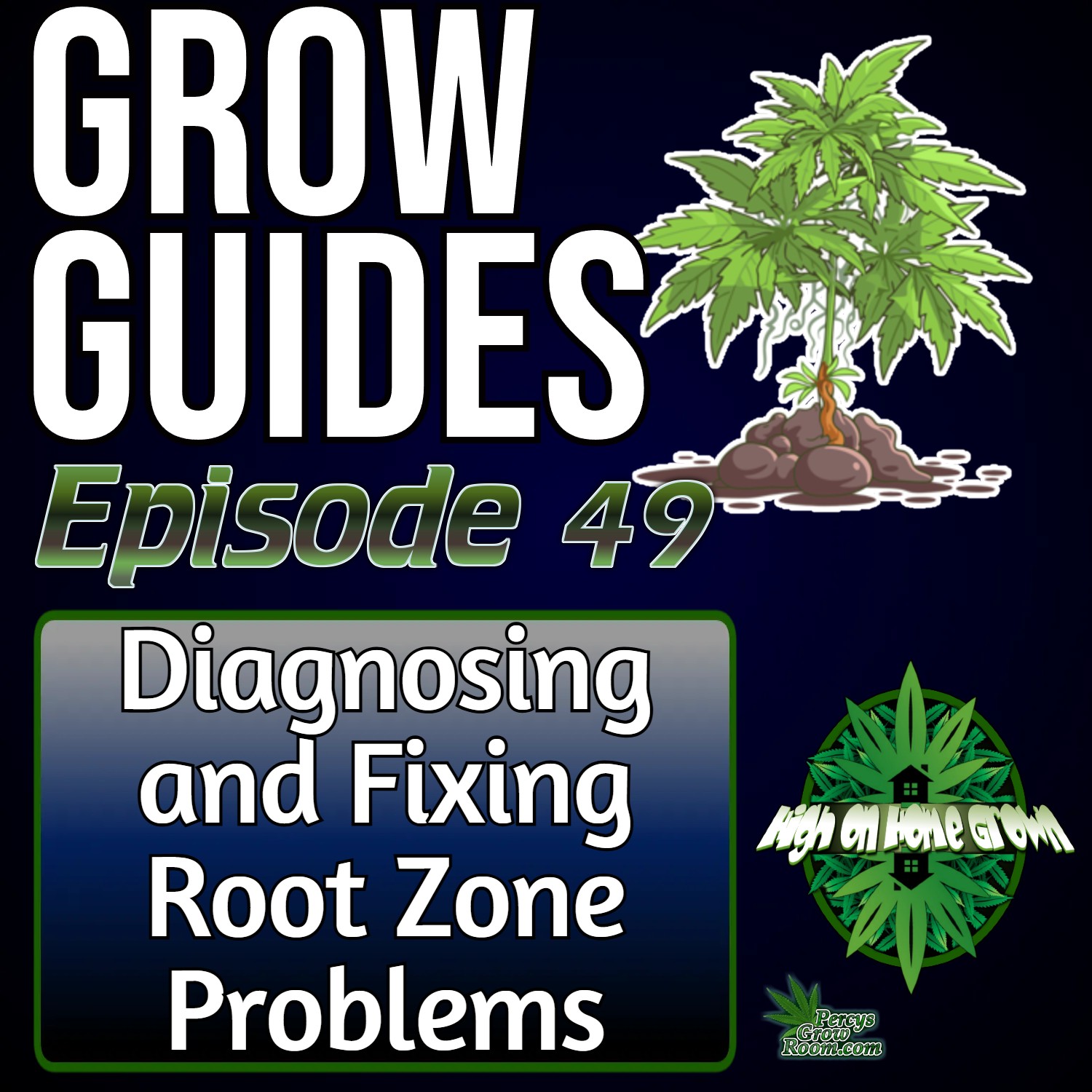 Diagnosing and Fixing Root Zone Problems in Cannabis Plants | Cannabis Grow Guides Episode 49