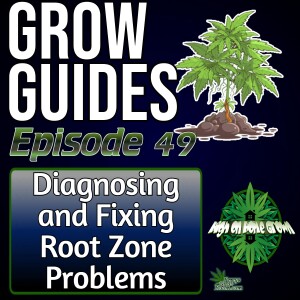 Diagnosing and Fixing Root Zone Problems in Cannabis Plants | Cannabis Grow Guides Episode 49