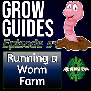 Worm Farming and Vermicomposting with Captain Matt | Cannabis Grow Guides Episode 51