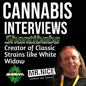 Shantibaba! The Legendary Cannabis Breeder and Creator of White Widow, White Rhino, Super Silver Haze and Many More!