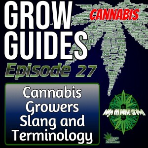 Cannabis Growers Slang and Terminology | Cannabis Grow Guides Episode 27