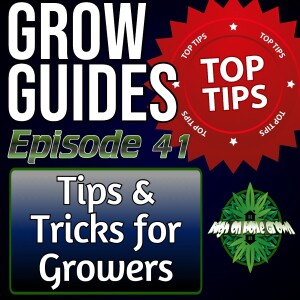 Tips and Tricks for Growing Cannabis | Cannabis Grow Guides Episode 41