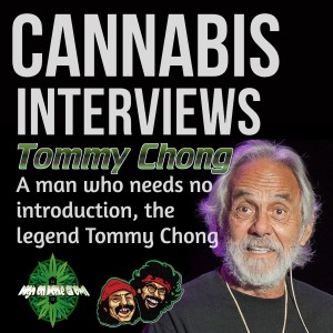 Interview with Tommy Chong, Birthday Session. Roll up, Get High and Celebrate With Us!