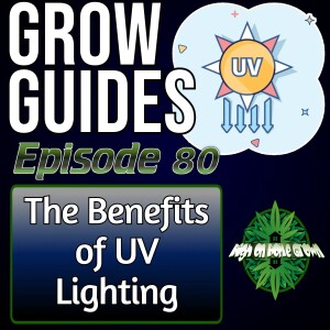 The Benefits of Using UV Lights Whilst Growing Cannabis | Cannabis Grow Guides Episode 80